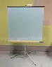 Projector Screen