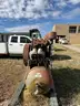 National BD WP200 Air Compressor