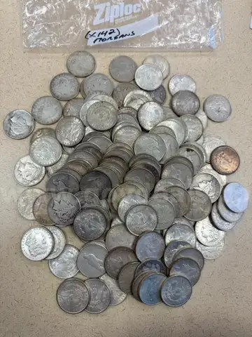 142 Morgan Dollar Coins