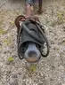 Dump Pup Trailer