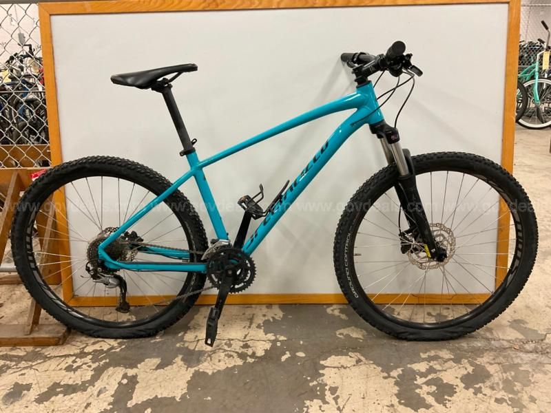 specialized pitch l