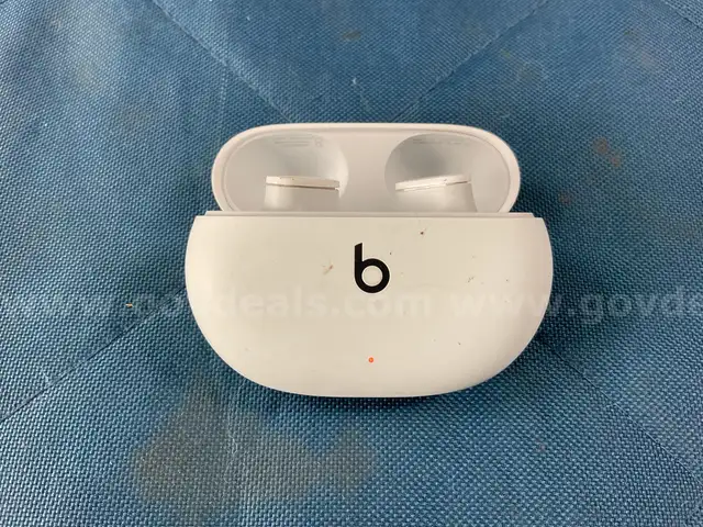 Apple Beats Studio Buds True Wireless Noise Cancelling Bluetooth Earbuds Model A2514, Powers On