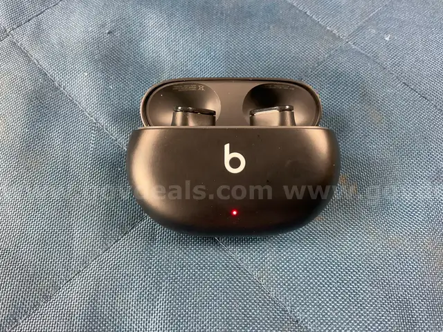 Apple Beats Studio Buds True Wireless Noise Cancelling Bluetooth Earbuds Model A2514, Powers On