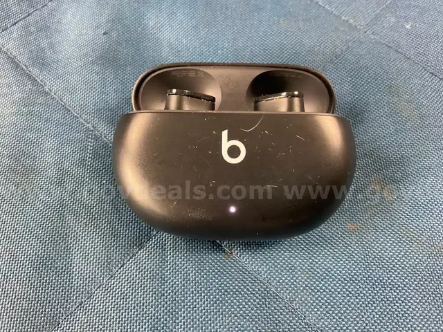 Apple Beats Studio Buds True Wireless Noise Cancelling Bluetooth Earbuds Model A2514, Powers On