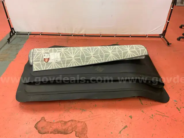 Lot of Misc. Floor Coverings: Includes Hog Heaven Stress Mats and Jill Zarin Area Rug