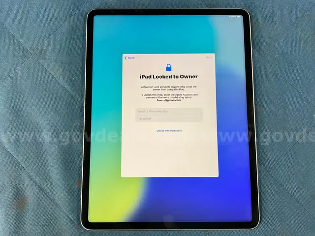 Apple iPad Pro (User-Locked) 256GB Model A2436, Powers On
