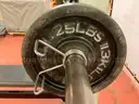 Hammer Strength Weight Bench With Bar &#x26; 2 - 25 lb Plates
