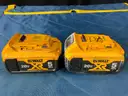 7 - Dewalt Batteries