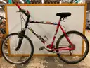 Giant SE Rincon Bicycle, Frame Size XL, CT 23&#x22;
