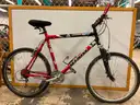 Giant SE Rincon Bicycle, Frame Size XL, CT 23&#x22;
