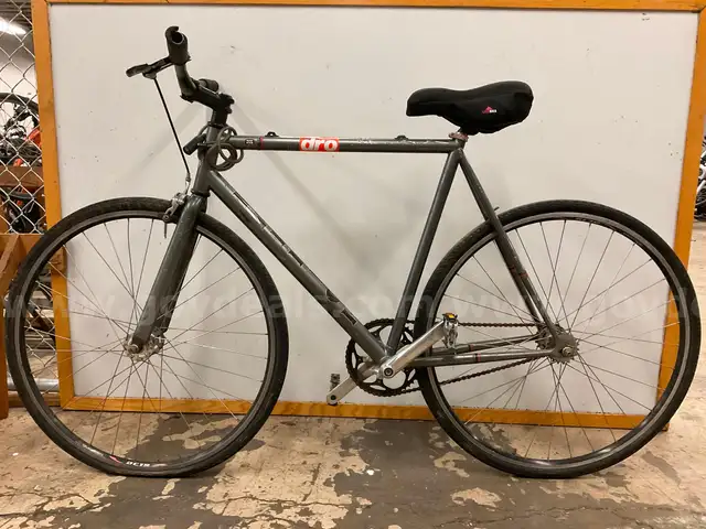 Raleigh Bicycle, CT 22&#x22;