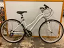 Schwinn Trailway Bicycle, CT 16&#x22;