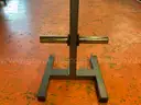 Legend Fitness Weight Tree