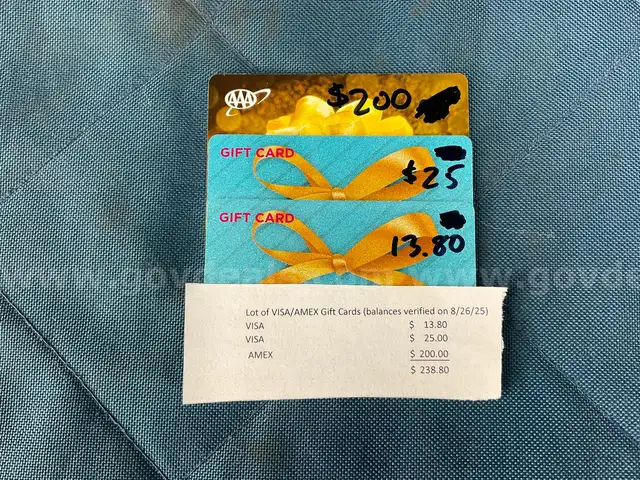 Lot of VISA/AMEX Gift Cards, $238.80 Total Balance