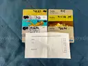 Lot of VISA/AMEX/MC Gift Cards, Total Balance $316.07