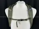 Fashion Backpack Labeled Patagonia