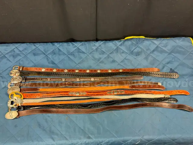 10 - Fashion Western Belts