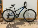 Trek MT220 Bicycle, CT 12&#x22;