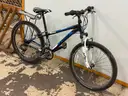 Trek MT220 Bicycle, CT 12&#x22;