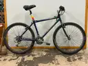 Giant Iguana 650 Bicycle, CT 17.5&#x22;
