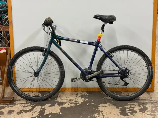 Giant Iguana 650 Bicycle, CT 17.5&#x22;
