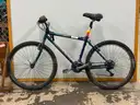 Giant Iguana 650 Bicycle, CT 17.5&#x22;