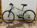 Roadmaster Granite Peak Bicycle, CT 14&#x22;