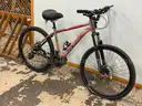 Avasta FTD Bicycle, CT 17&#x22;