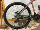 Avasta FTD Bicycle, CT 17&#x22;