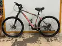 Avasta FTD Bicycle, CT 17&#x22;