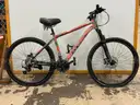 Avasta FTD Bicycle, CT 17&#x22;