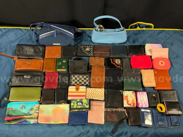 50 - Wallets, Clutches, and Passport Holders