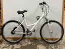Nishiki Tamarack Bicycle, CT 17&#x22;