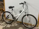 Nishiki Tamarack Bicycle, CT 17&#x22;