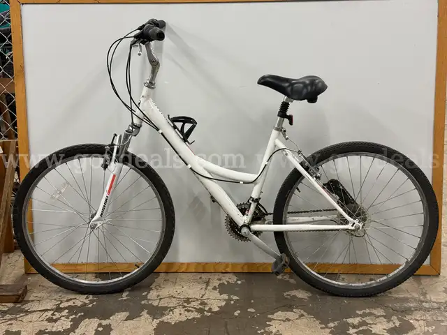 Nishiki Tamarack Bicycle, CT 17&#x22;