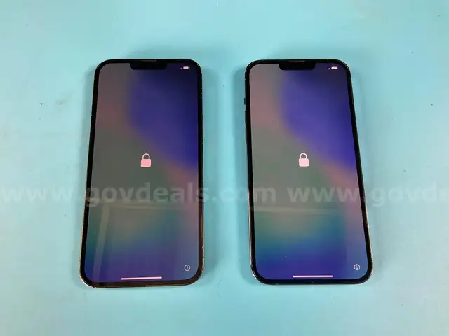 2 - Apple iPhone 13 Pro Max (User Locked) Model A2484, Both Power On