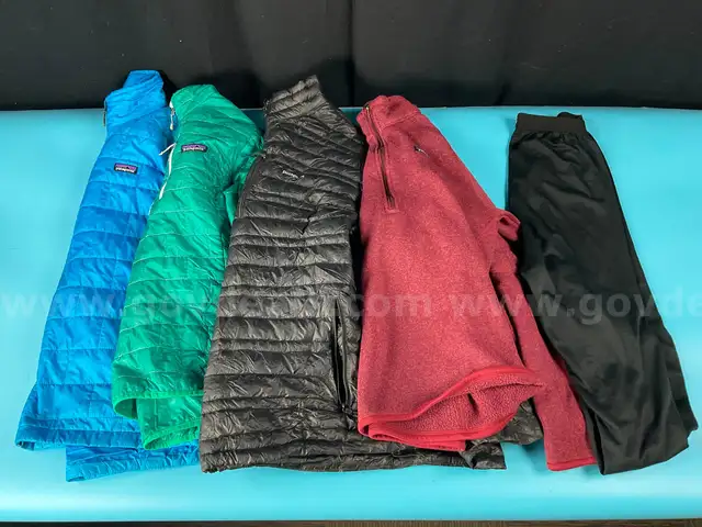 5 - Fashion Clothing Labeled Patagonia