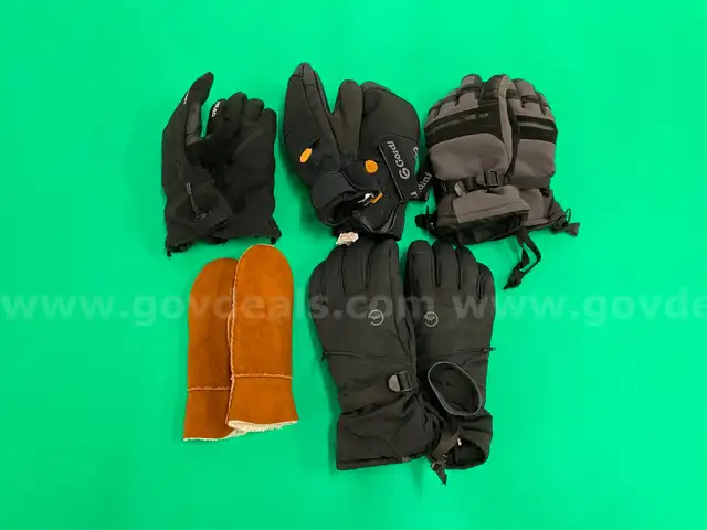 5 - Fashion Snow Gloves: Labeled Hestra, Gordini, Head and Grand Sierra