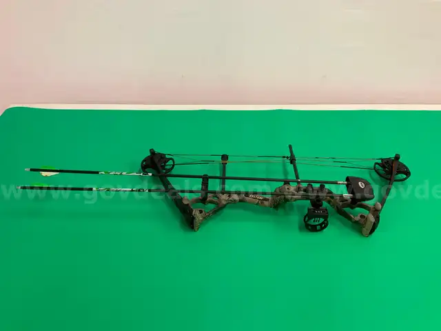 Bear Archery Limitless Compound Bow with Sight and Quiver and 2 - Arrows