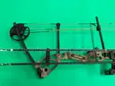Bear Archery Limitless Compound Bow with Sight and Quiver and 2 - Arrows