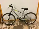Roadmaster 24" Granite Peak Bicycle, CT 14"