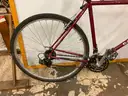 Diamondback Approach Bicycle, CT 21" (Front Tire Damaged)