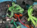 Lot of Misc. Tie Downs, Bungee Cords and Straps