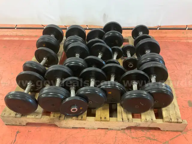 Lot of Troy Dumbbells, Weights From 5lbs - 45lbs (Wear & Tear)