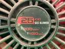 2 - Blowers: Hitachi RB 24EAP & Craftsman 316.791601