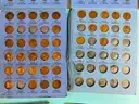 Lot of Misc Coins & Sports Collectibles