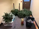Lot of Christmas Items