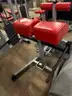 Glute and Hamstring Extension