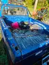 1993 Dodge Dakota
