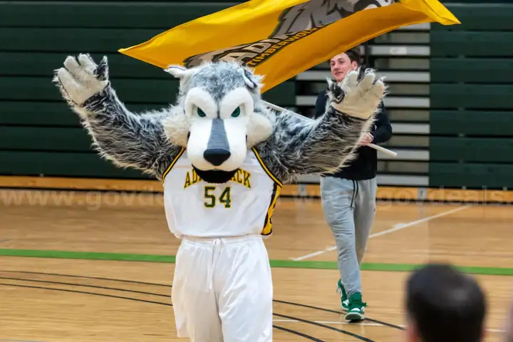 Wolf Mascot
